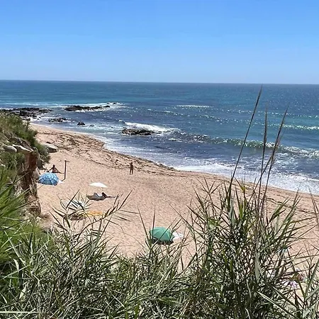 With Sea View Terrace アパート アトウギア・ダ・バレイア